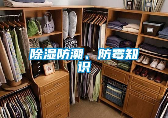 除濕防潮、防霉知識
