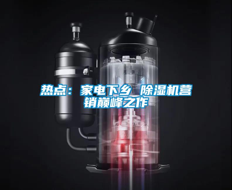 熱點：家電下鄉(xiāng) 除濕機(jī)營銷巔峰之作