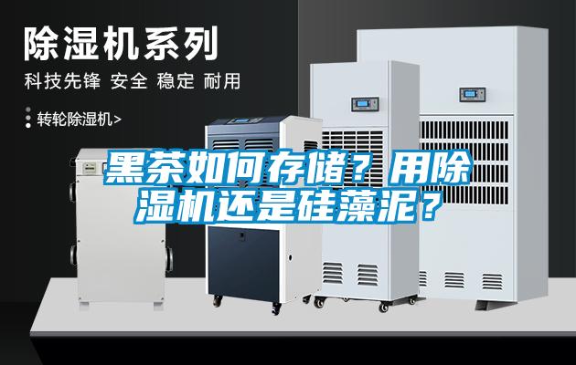 黑茶如何存儲(chǔ)？用除濕機(jī)還是硅藻泥？