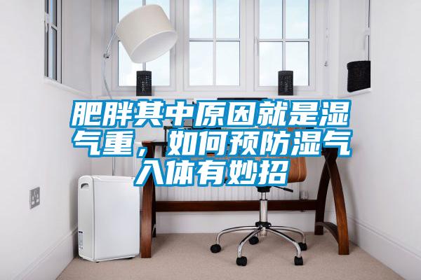 肥胖其中原因就是濕氣重，如何預(yù)防濕氣入體有妙招