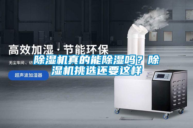 除濕機真的能除濕嗎？除濕機挑選還要這樣