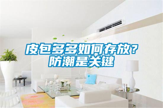 皮包多多如何存放？防潮是關(guān)鍵