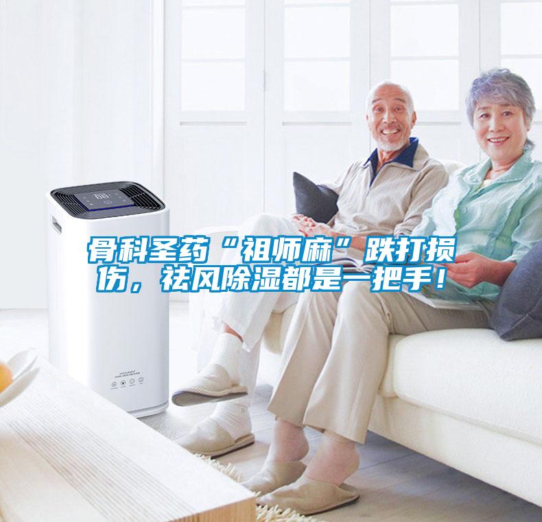 骨科圣藥“祖師麻”跌打損傷，祛風(fēng)除濕都是一把手！