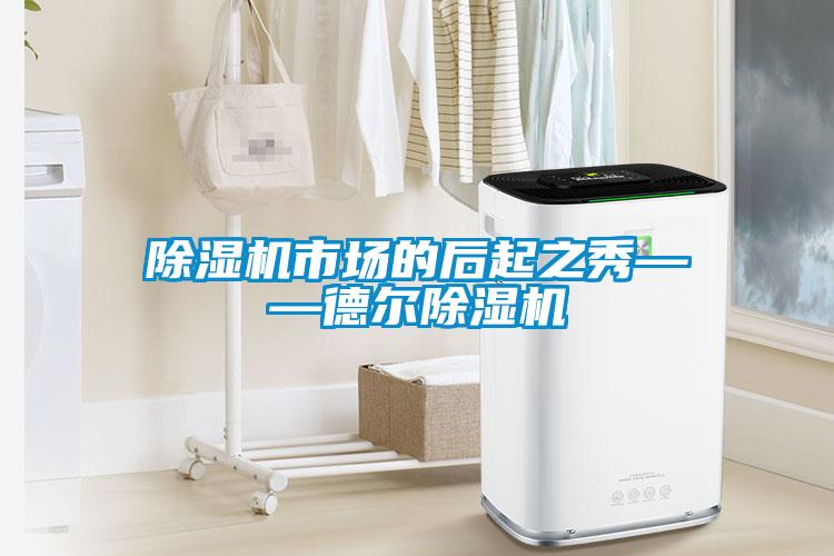 除濕機(jī)市場(chǎng)的后起之秀——德爾除濕機(jī)