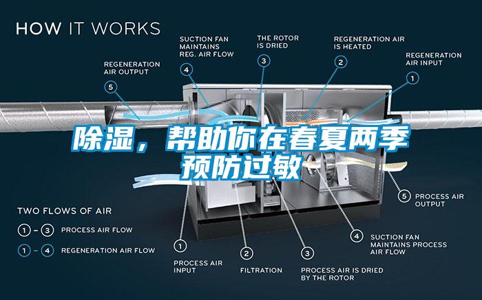 除濕，幫助你在春夏兩季預(yù)防過(guò)敏