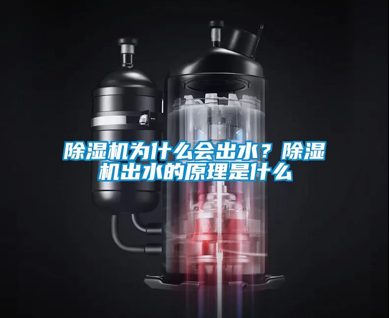 除濕機為什么會出水？除濕機出水的原理是什么