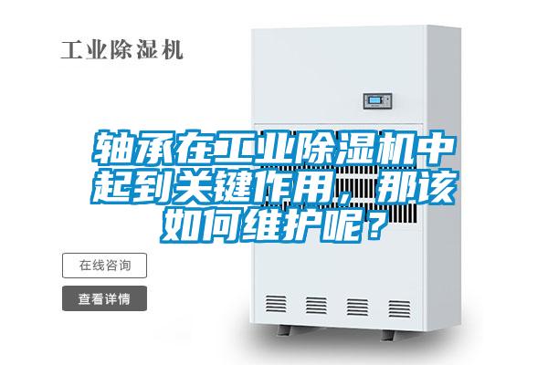 軸承在工業(yè)除濕機(jī)中起到關(guān)鍵作用，那該如何維護(hù)呢？