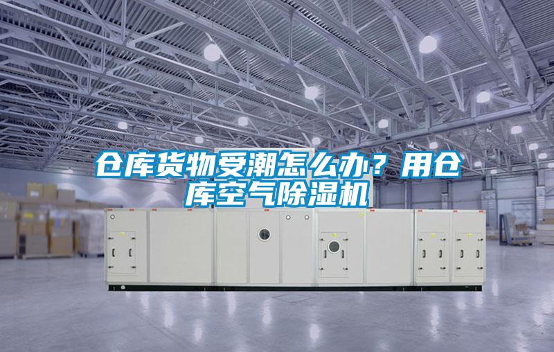 倉庫貨物受潮怎么辦？用倉庫空氣除濕機