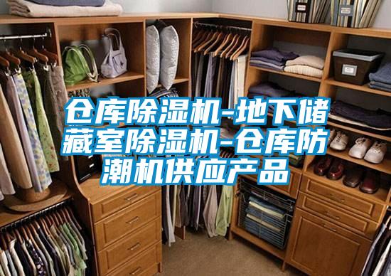 倉庫除濕機(jī)-地下儲(chǔ)藏室除濕機(jī)-倉庫防潮機(jī)供應(yīng)產(chǎn)品