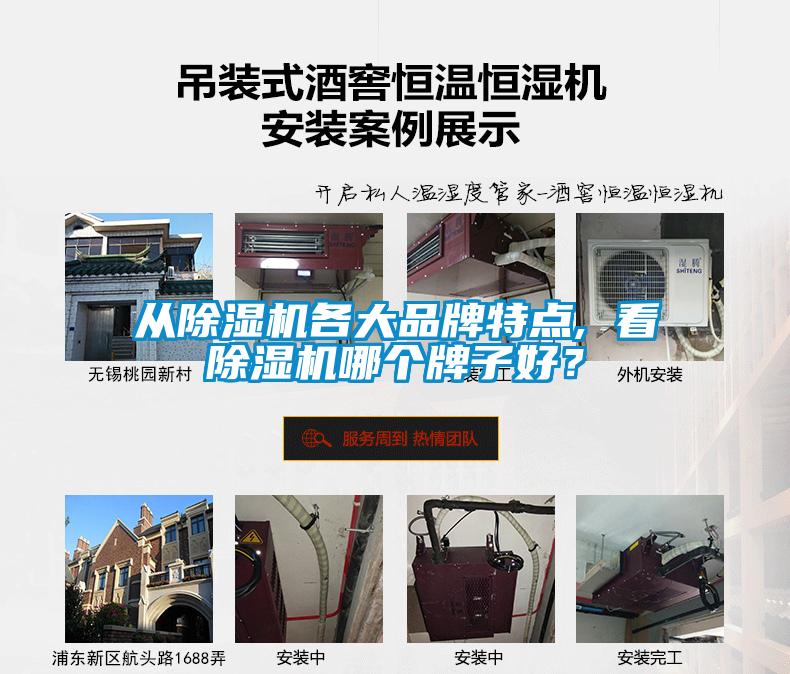 從除濕機(jī)各大品牌特點, 看除濕機(jī)哪個牌子好？