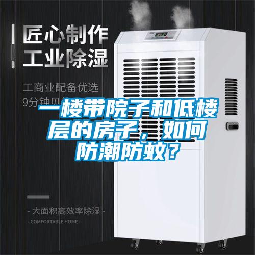 一樓帶院子和低樓層的房子，如何防潮防蚊？