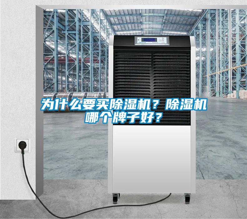 為什么要買除濕機？除濕機哪個牌子好？