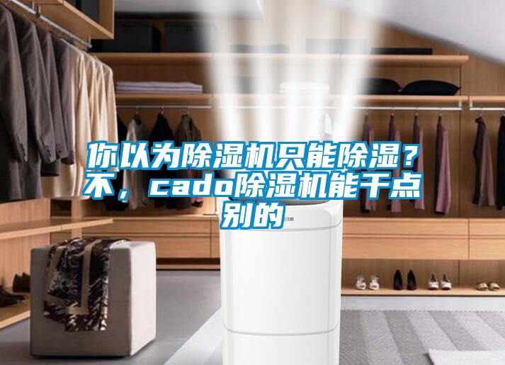 你以為除濕機只能除濕？不，cado除濕機能干點別的
