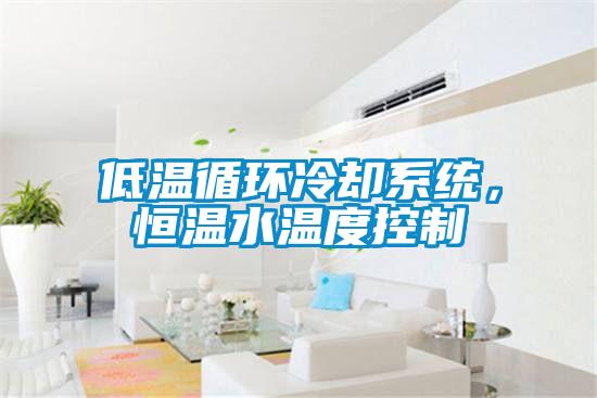 低溫循環(huán)冷卻系統(tǒng)，恒溫水溫度控制