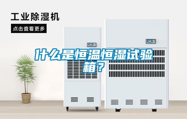 什么是恒溫恒濕試驗箱？
