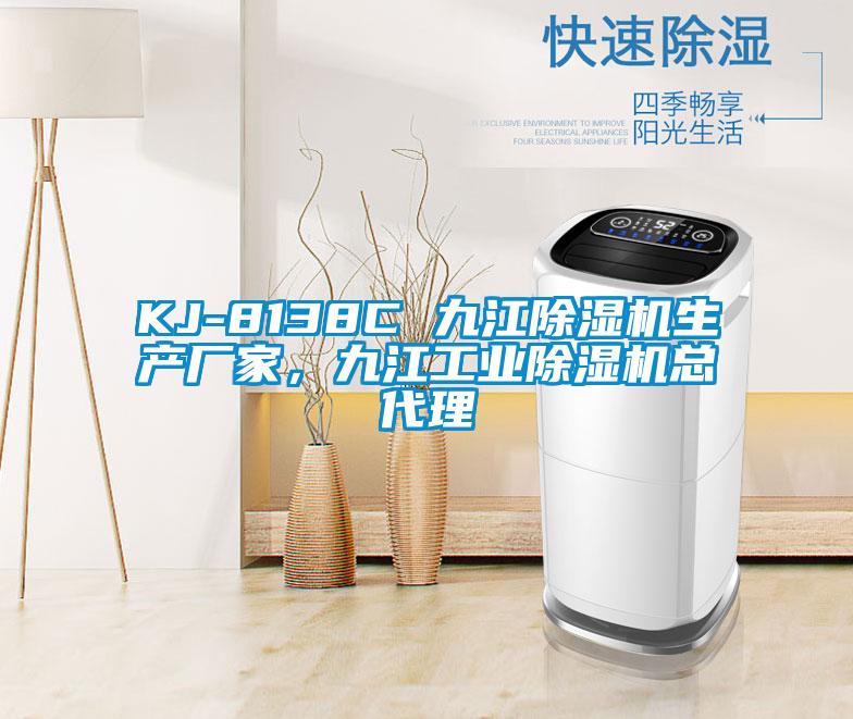 KJ-8138C 九江除濕機生產(chǎn)廠家，九江工業(yè)除濕機總代理