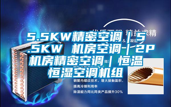 5.5KW精密空調(diào)｜5.5KW 機房空調(diào)｜2P機房精密空調(diào)｜恒溫恒濕空調(diào)機組