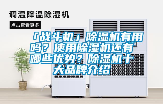 「戰(zhàn)斗機(jī)」除濕機(jī)有用嗎？使用除濕機(jī)還有哪些優(yōu)勢(shì)？除濕機(jī)十大品牌介紹