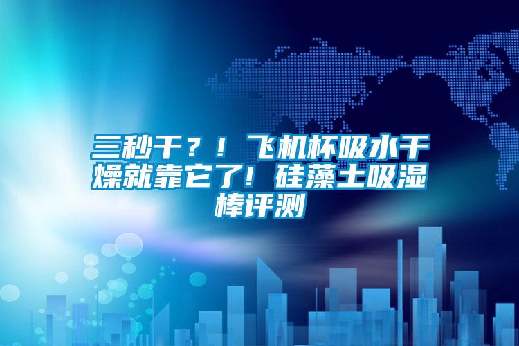 三秒干？! 飛機(jī)杯吸水干燥就靠它了! 硅藻土吸濕棒評(píng)測(cè)