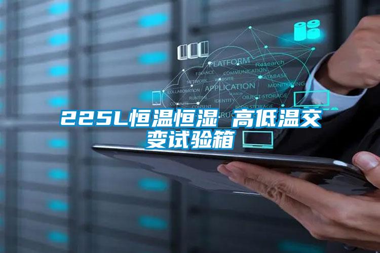 225L恒溫恒濕 高低溫交變?cè)囼?yàn)箱