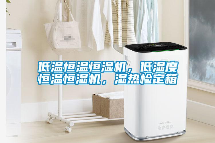 低溫恒溫恒濕機，低濕度恒溫恒濕機，濕熱檢定箱