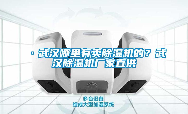 ·武漢哪里有賣除濕機(jī)的？武漢除濕機(jī)廠家直供
