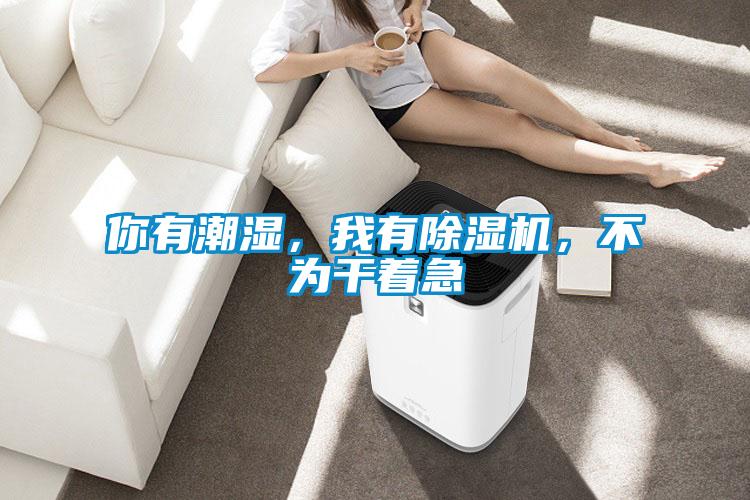 你有潮濕，我有除濕機，不為干著急