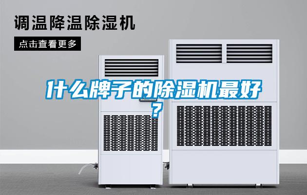 什么牌子的除濕機最好？
