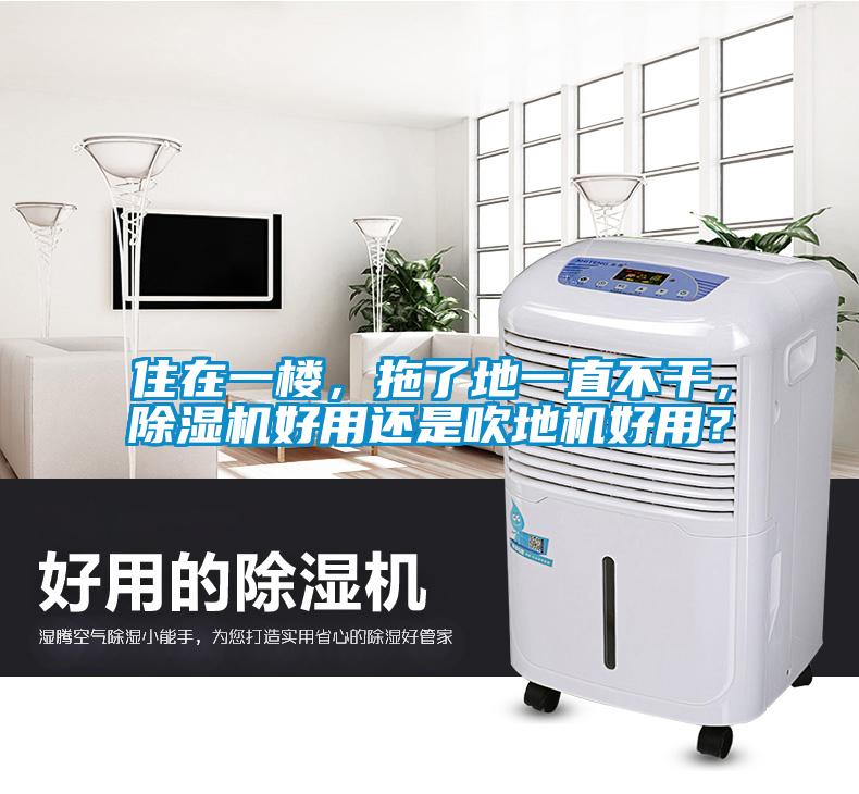 住在一樓，拖了地一直不干，除濕機好用還是吹地機好用？