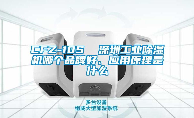 CFZ-10S  深圳工業(yè)除濕機(jī)哪個(gè)品牌好、應(yīng)用原理是什么
