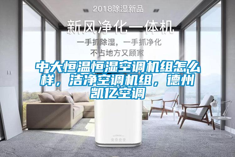 中大恒溫恒濕空調(diào)機(jī)組怎么樣，潔凈空調(diào)機(jī)組，德州凱億空調(diào)