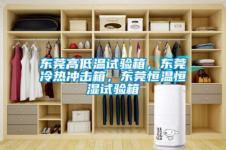 東莞高低溫試驗箱，東莞冷熱沖擊箱，東莞恒溫恒濕試驗箱