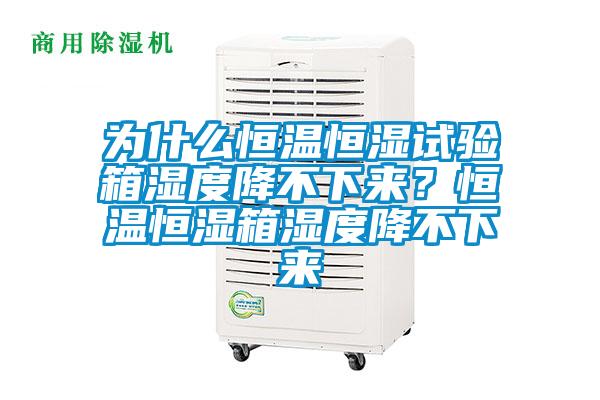 為什么恒溫恒濕試驗箱濕度降不下來？恒溫恒濕箱濕度降不下來