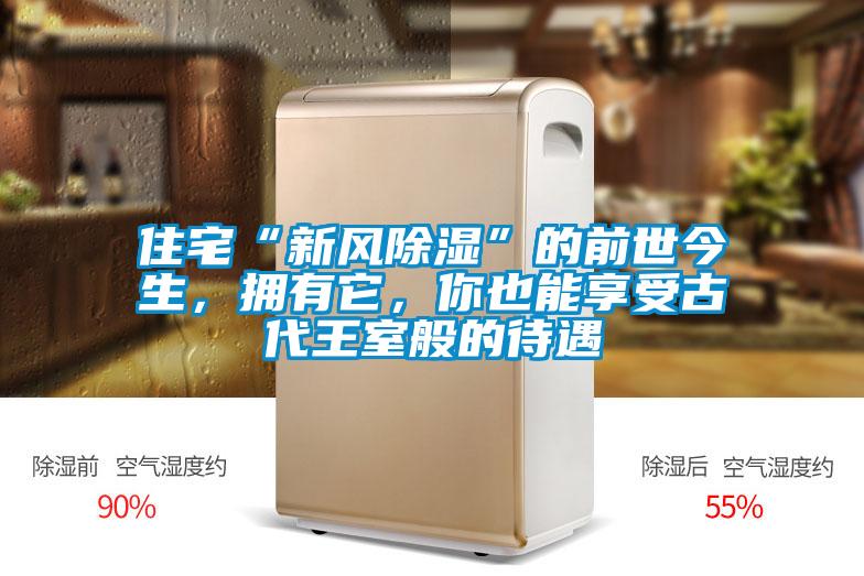 住宅“新風(fēng)除濕”的前世今生，擁有它，你也能享受古代王室般的待遇
