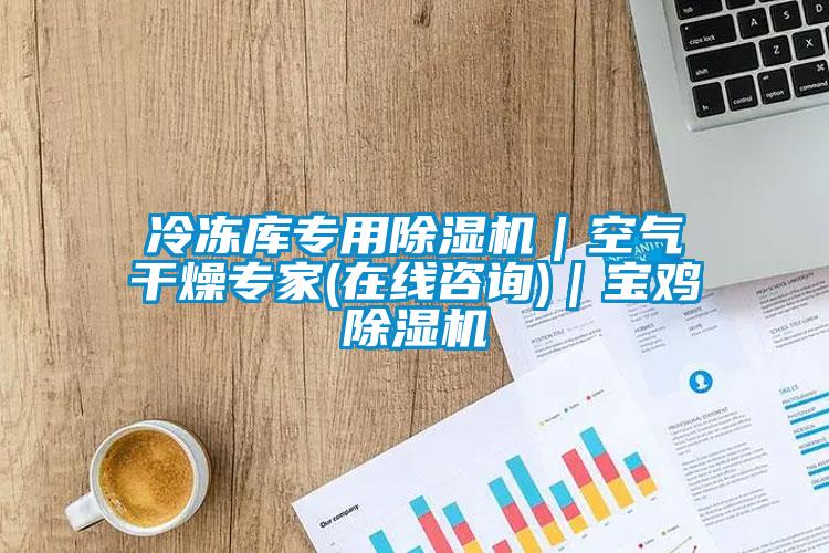 冷凍庫(kù)專(zhuān)用除濕機(jī)｜空氣干燥專(zhuān)家(在線咨詢(xún))｜寶雞除濕機(jī)