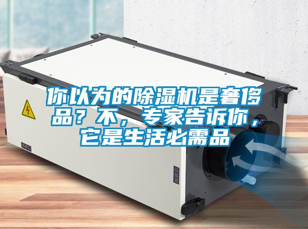 你以為的除濕機(jī)是奢侈品？不，專家告訴你，它是生活必需品