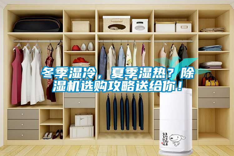 冬季濕冷，夏季濕熱？除濕機(jī)選購攻略送給你！
