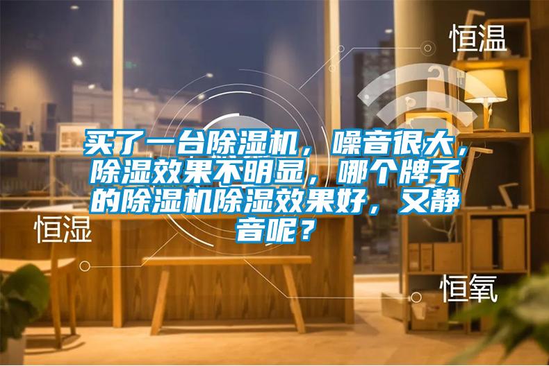 買了一臺除濕機，噪音很大，除濕效果不明顯，哪個牌子的除濕機除濕效果好，又靜音呢？