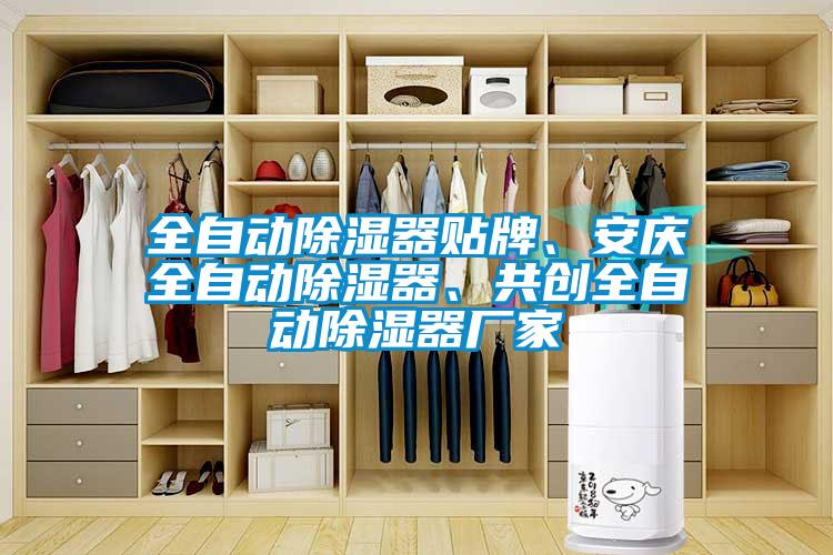 全自動(dòng)除濕器貼牌、安慶全自動(dòng)除濕器、共創(chuàng)全自動(dòng)除濕器廠家