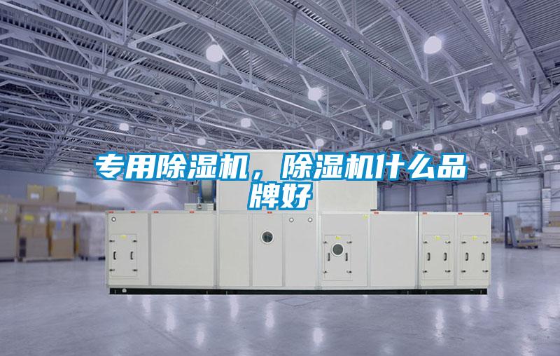 專用除濕機(jī)，除濕機(jī)什么品牌好