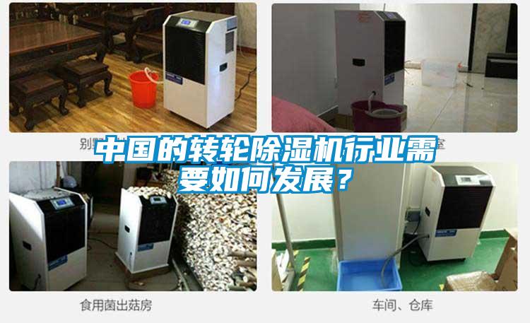 中國(guó)的轉(zhuǎn)輪除濕機(jī)行業(yè)需要如何發(fā)展？