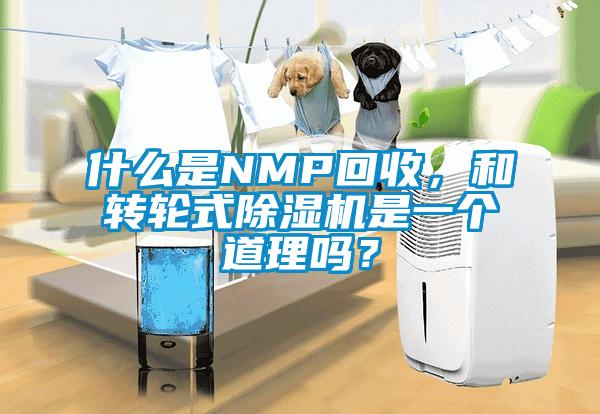 什么是NMP回收，和轉(zhuǎn)輪式除濕機是一個道理嗎？