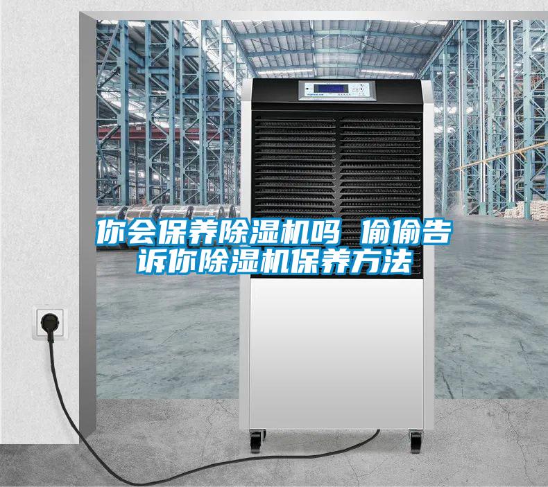 你會(huì)保養(yǎng)除濕機(jī)嗎 偷偷告訴你除濕機(jī)保養(yǎng)方法