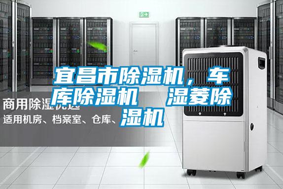 宜昌市除濕機(jī)，車庫(kù)除濕機(jī)  濕菱除濕機(jī)