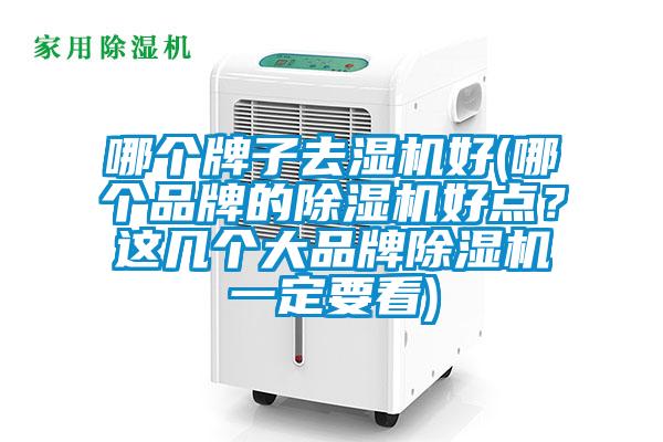 哪個(gè)牌子去濕機(jī)好(哪個(gè)品牌的除濕機(jī)好點(diǎn)？這幾個(gè)大品牌除濕機(jī)一定要看)