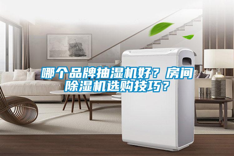 哪個(gè)品牌抽濕機(jī)好？房間除濕機(jī)選購技巧？
