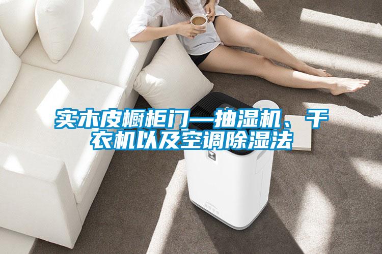 實木皮櫥柜門—抽濕機、干衣機以及空調除濕法