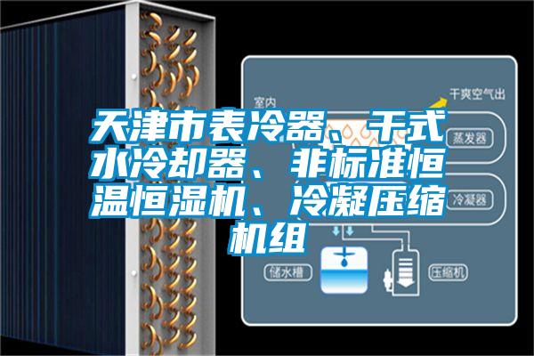 天津市表冷器、干式水冷卻器、非標(biāo)準(zhǔn)恒溫恒濕機(jī)、冷凝壓縮機(jī)組