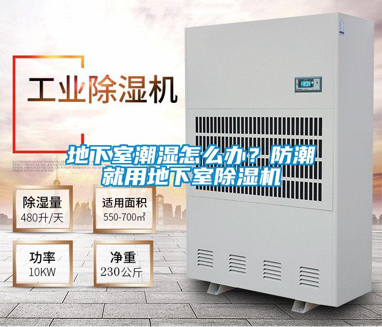 地下室潮濕怎么辦？防潮就用地下室除濕機(jī)