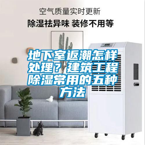 地下室返潮怎樣處理？建筑工程除濕常用的五種方法